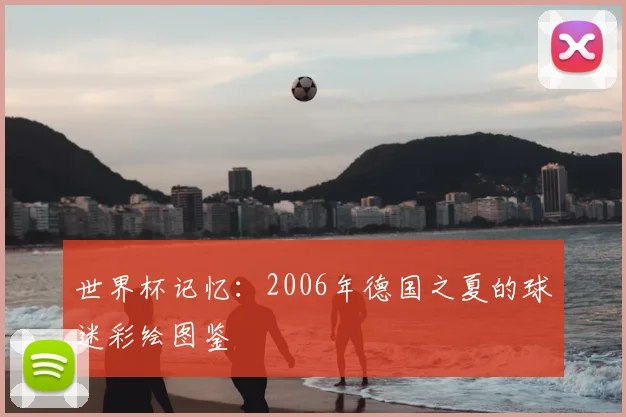 世界杯记忆:2006年德国之夏的球迷彩绘图鉴