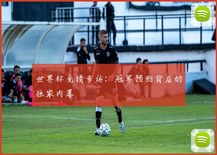 世界杯竞猜专访：冠军预测背后的独家内幕
