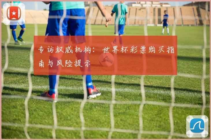 专访权威机构：世界杯彩票购买指南与风险提示
