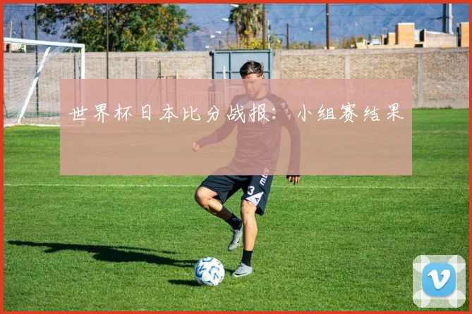 世界杯日本比分战报：小组赛结果
