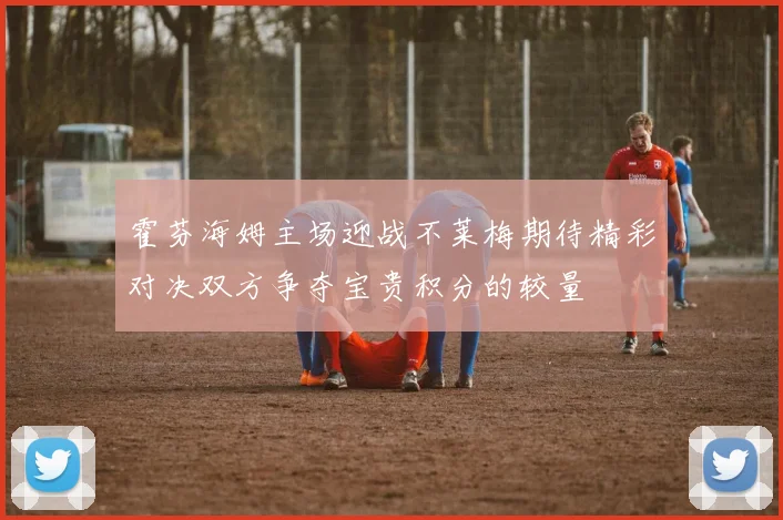霍芬海姆主场迎战不莱梅期待精彩对决双方争夺宝贵积分的较量