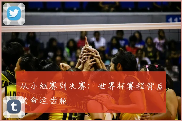 从小组赛到决赛：世界杯赛程背后的命运齿轮