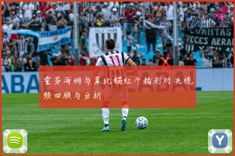 霍芬海姆与莱比锡红牛精彩对决视频回顾与分析