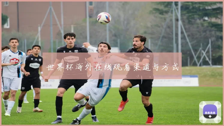 世界杯海外在线观看渠道与方式