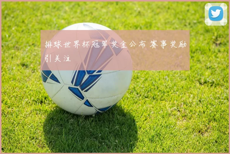 排球世界杯冠军奖金公布 赛事奖励引关注