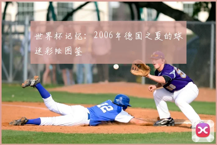 世界杯记忆:2006年德国之夏的球迷彩绘图鉴