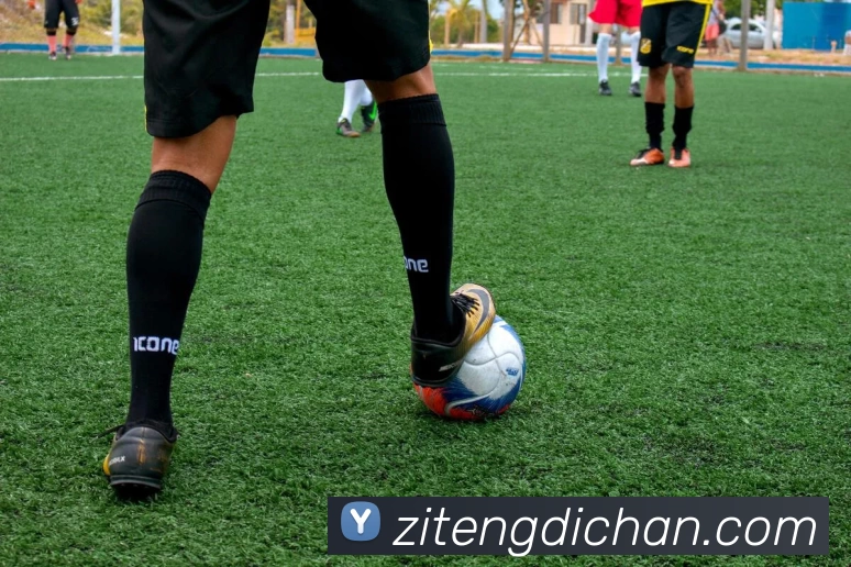 多媒体互动体验